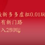 2025最新多多虚拟0.01玩法！虚拟也有新世界，轻松日入1k+