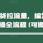 短视频带货拉流量，编发视频制作实操全流程(可搬运)”