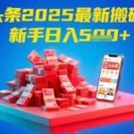 今日头条2025年最新搬砖玩法，新手也能轻松日入5张