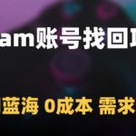“Steam账号找回项目，冷门蓝海，0成本，需求极大
