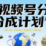 视频号2025治愈系新赛道，100%原创视频，几分钟一条原创视频