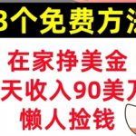 在家挣美金，3个方法 1天收入90美刀，超简单，长久被动收入，懒人捡钱