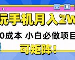 0成本小白必做项目，可矩阵，玩玩手机月入1w+