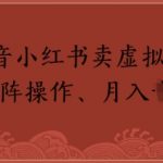 抖音小红书卖虚拟教辅、公务员资料，矩阵操作，月入1W+