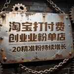 淘宝打付费创业粉单店每天稳定10-20精准粉持续增长【揭秘】
