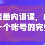 个人ip流量内训课，内行人教你做一个账号的完整流程”
