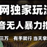 全网独家玩法抖音无人暴力撸金，月入3W，有手就行，当天拿结果【揭秘】