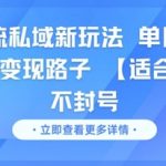 “男粉引流私域新玩法，单日收益达10张的变现路子 【适合小白】不封号