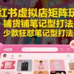 小红书虚拟店矩阵玩法，铺货铺笔记型打法，少款狂怼笔记型打法（更新