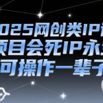 2025网创类IP课，项目会死IP永生，可操作一辈子