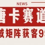 唐卡赛道私域引流获客 自热矩阵SOP日引流99+精准客资【揭秘】