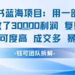 小红书蓝海项目，一部手机单月做了3W利润，小白也能月入过1W用户认可度高成交多