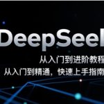 DeepSeek从入门到进阶教程，从入门到精通，快速上手指南