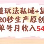 养生赛道玩法私域+复购类型，20秒生产原创实战单号月收入5k+