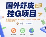 国外虾皮挂G项目：账号扔那儿自己刷，每天白捡米+，不拉人头、不动脑，单机日收益两张+【揭秘】