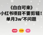 小白可来 小红书项目不需要剪辑 单月3w不是问题