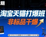 淘宝天猫打爆班原创高阶技术第72期，非标品干爆