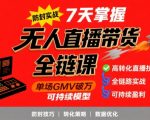 无人直播带货全链防封实战课，7天掌握高转化直播技术，实现单场GMV破万可持续模型