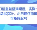 风口信息差蓝海项目，实测一天收益4k+，小白操作简单，可矩阵起号