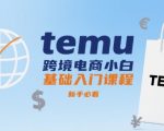 temu跨境电商小白基础入门课程，新手必看