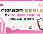 小红书私域项目 月入过W非常轻松 每天15分钟即可搞定，无任何操作门槛，小白可入手