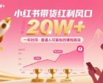 一年时间靠小红书带货项目年入20w+，最不能错的大红利项目