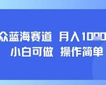 小众蓝海赛道，小白可做，操作简单，每天30分钟，月入1W+