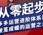 拼多多运营进阶系统课，从零起步，多多运营进阶体系课，破茧成蝶的运营之术