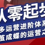 拼多多运营进阶系统课，从零起步，多多运营进阶体系课，破茧成蝶的运营之术