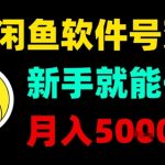 闲鱼软件号变现，新手就能干，月入5k+