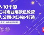 月入10个的小红书商业爆款私教营，一人公司小红书IP打造，爆款笔记，商业变现秘籍