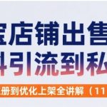 淘宝店铺出售虚拟资料引流到私域，从店铺注册到优化上架全讲解(11节课)