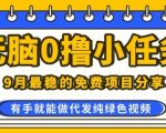 0学费0风险，2025风口项目，无脑免费撸，代发纯绿色视频，一部手机人人可做【揭秘】