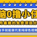 0学费0风险，2025风口项目，无脑免费撸，代发纯绿色视频，一部手机人人可做【揭秘】