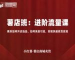 小红薯薯店商城卖货，进阶流量课，教你如何开店选品、如何系统引流，实现快速卖货变现