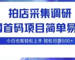 拍店采集调研，全网首码项目，简单易操作， 小白也能轻松上手，多账号操作，轻松日入5张【揭秘】