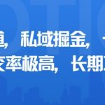 小众赛道，私域掘金，一天多张，成交率极高，长期项目