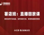 小红薯薯店商城卖货直播回放课，教你如何开店选品、如何系统引流，实现快速卖货变现