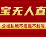 淘宝无人直播带货最新技术，不封号，不违规 操作简单，开播爆单，日入1k+【揭秘】