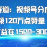懒人赛道：视频号分成计划单条视频120W点赞量 收益高综合收益在1.5K左右