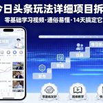 今日头条玩法详细项目拆解，零基础学习视频 通俗易懂 14天搞定它