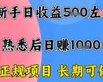 全年可变现项目，收益高无门槛，正规项目，长期可做，一天收益1k+一台电脑在家创业【揭秘】