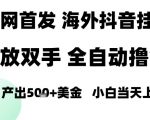 海外抖音无人直播，单日产出1.5k+，长期稳定，新手可玩，无脑操作【揭秘】