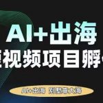 AI·TikTok AI+出海短视频项目孵化，陪你从0-1借助AI实现出海变现