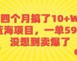 四个月搞了10+W的蓝海项目，一单59.9米，没想到卖爆了