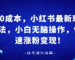 0成本，小红书最新玩法，小白无脑操作，快速涨粉变现