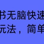 小红书无脑快速涨粉变现玩法，简单粗暴