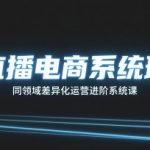 直播电商系统班，同领域差异化运营进阶系统课