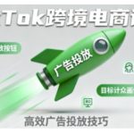 TikTok跨境电商全流程实操课，助力从业者掌握TikTok跨境电商运营核心技能，高效开展业务