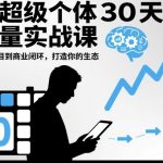 AI超级个体30天流量实战课，从小项目到商业闭环，打造你的生态